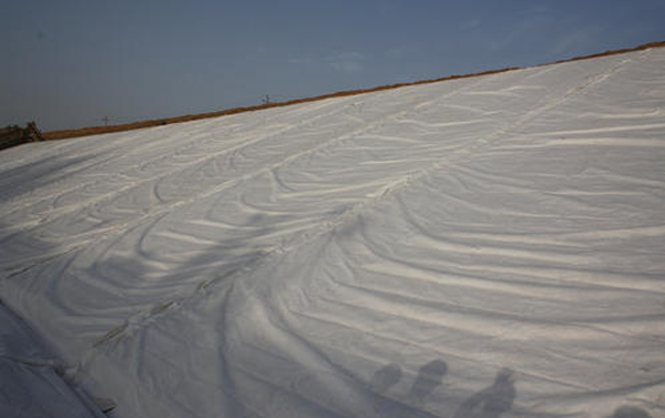 ���Ͱ���